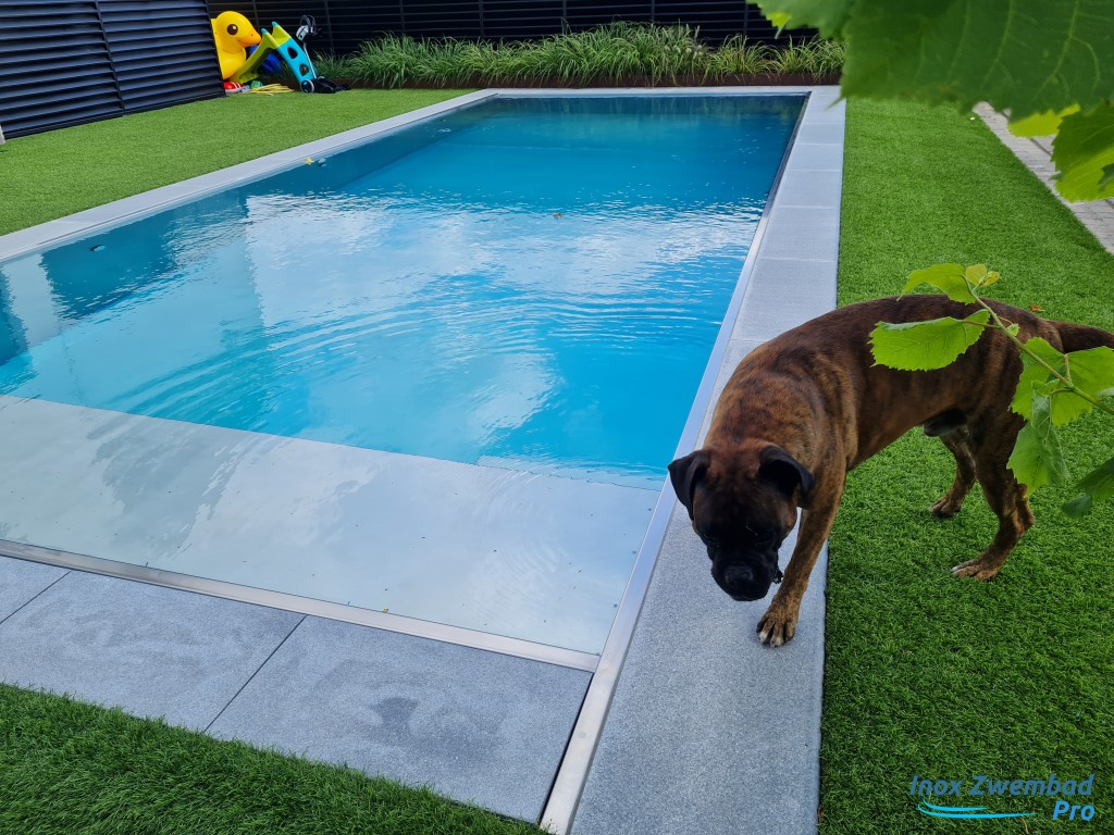 InoxZwembadPro00045.jpg